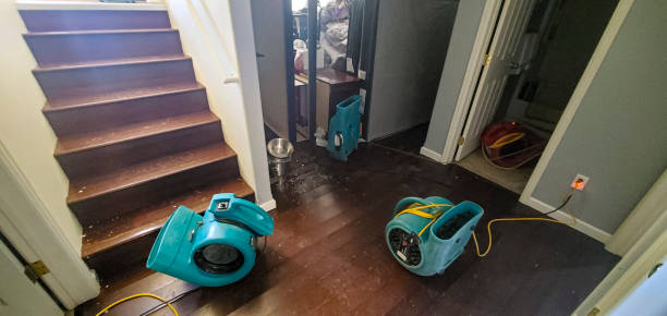 Best Water damage restoration near me  in Harrisonburg, VA