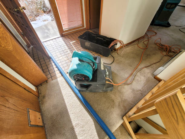 Best Water damage cleanup near me  in Harrisonburg, VA